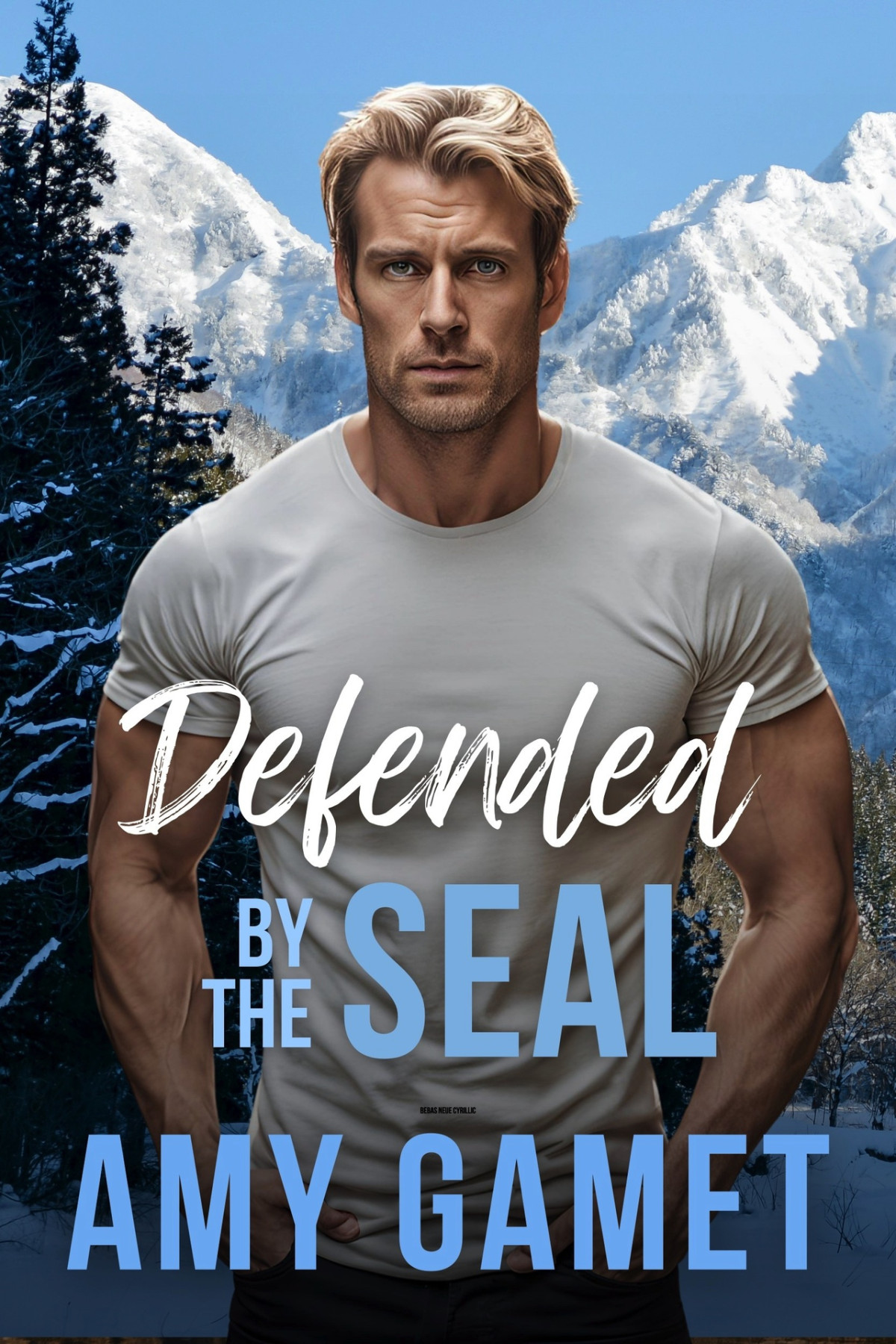 Hero Force 8 Defended By The Seal Amy Gamet