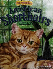 American Shorthairs Pioneers Rudolph Jessica