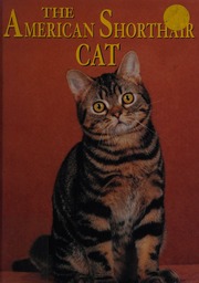 The American Shorthair Cat Mattern Joanne 1963