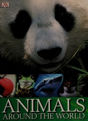 Animals Around The World Gray Samantha Stamps Caroline Dk Publishing