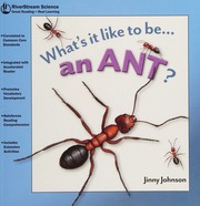 An Ant Johnson Jinny 1949 Sanzi Desiderio Illustrator