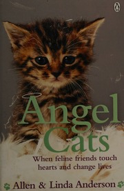 Angel Cats When Feline Friends Touch Hearts And Change Lives Anderson