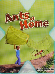 Ants At Home American Ed Middleton Haydn Stuart Jon