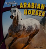 Arabian Horses Metz Lorijo