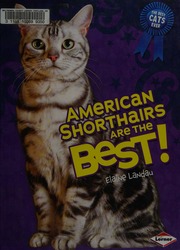 American Shorthairs Are The Best Landau Elaine