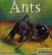 Ants Prischmann Deirdre A