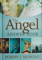 The Angel Answer Book Morgan Robert J 1952 Author