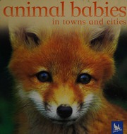 Animal Babies In Towns And Cities Schofield Jennifer