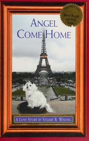 Angel Come Home A Love Story Wisong Stuart R