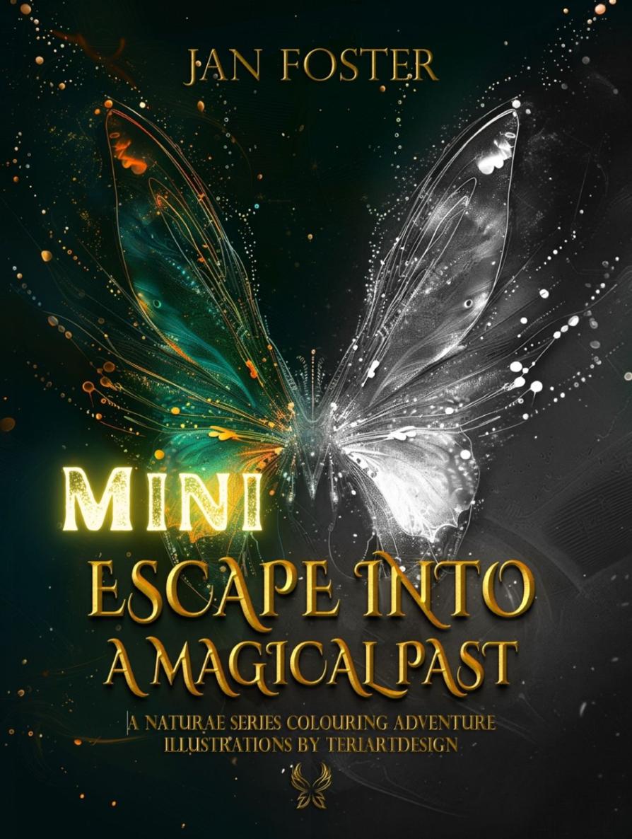 Mini Escape Into A Magical Past Colouring Adventure Jan Foster