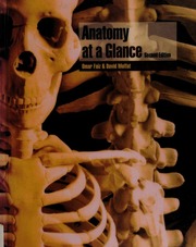 Anatomy At A Glance 2nd Ed Faiz Omar Moffat D B David Burns