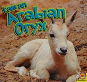 Arabian Oryx Carr Aaron
