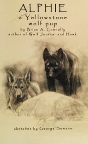 Alphie A Yellowstone Wolf Pup Connolly Brian A Author Bumann