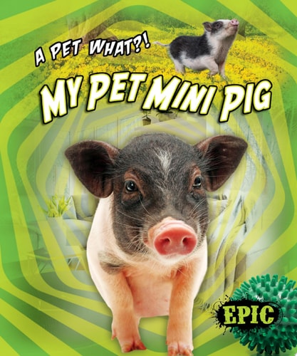 My Pet Mini Pig Paige V Polinsky
