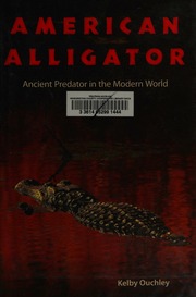 American Alligator Ancient Predator In The Modern World Ouchley
