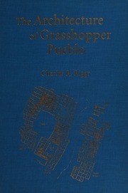 The Architecture Of Grasshopper Pueblo Riggs Charles R