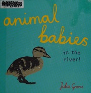 Animal Babies In The River Groves Julia Author Illustrator