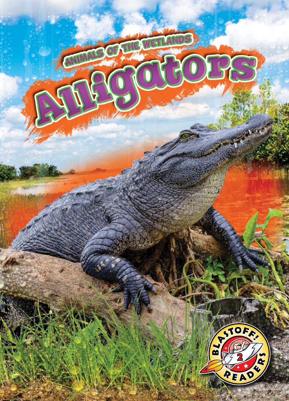 Alligators Rachel Grack