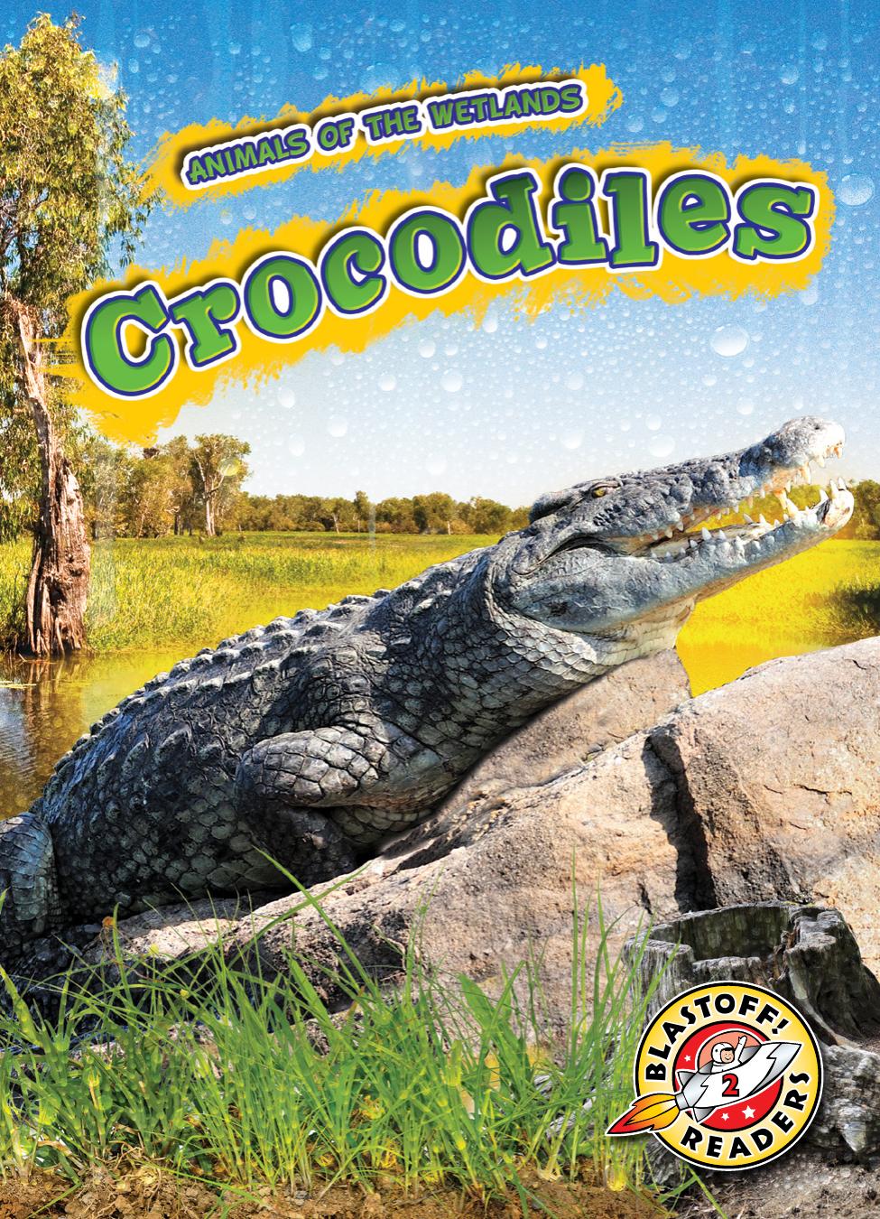 Crocodiles Rachel Grack