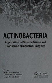 Actinobacteria Application In Bioremediation And Production Of Industrial Enzymes Amoroso