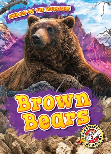 Brown Bears Lindsay Shaffer