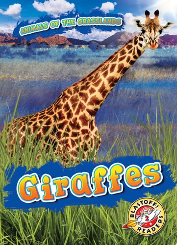 Giraffes Kaitlyn Duling