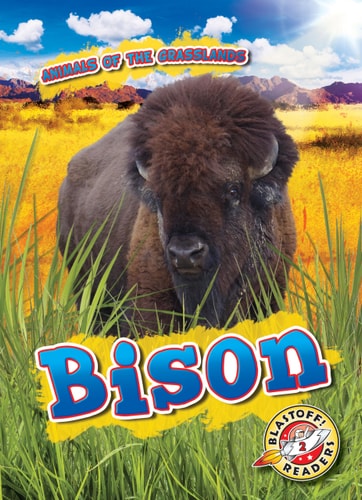 Animals Of The Grasslands Bison Illustrated Kaitlyn Duling
