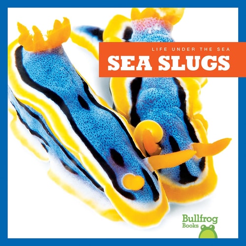 Life Under The Sea Sea Slugs Illustrated Mari C Schuh