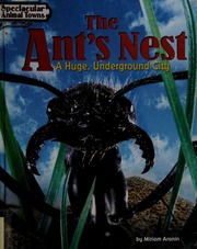 The Ants Nest A Huge Underground City Aronin Miriam