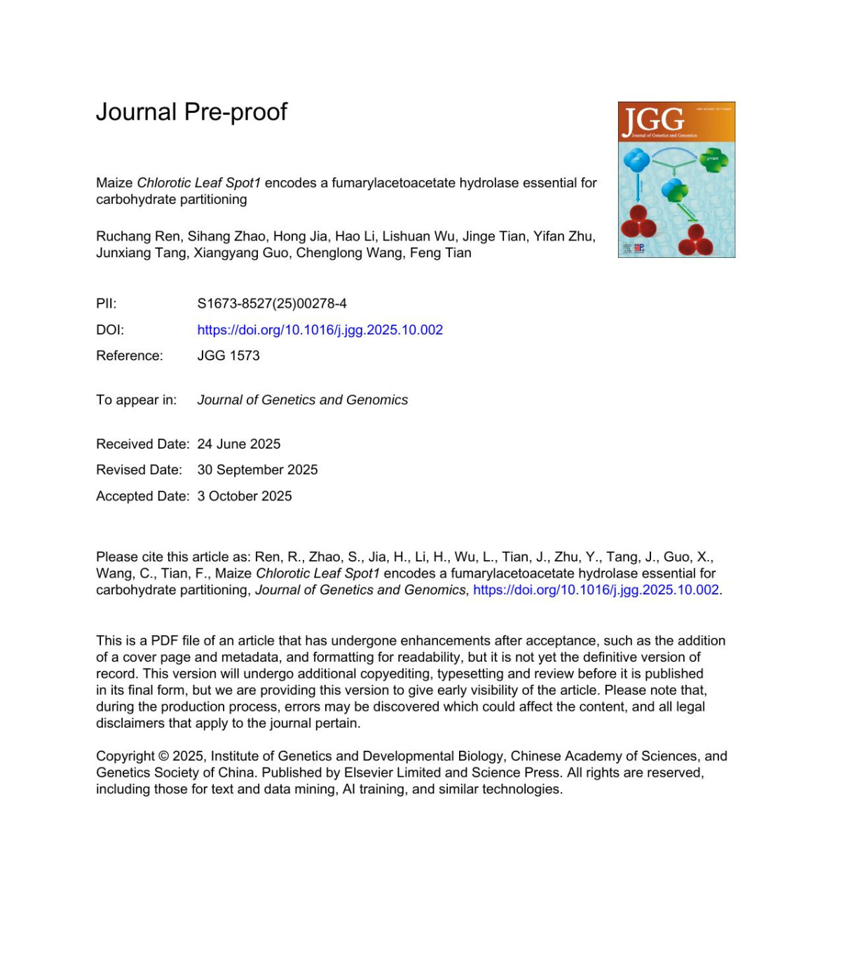 Maize Chlorotic Leaf Spot1 Encodes A Fumarylacetoacetate Hydrolase Essential For Carbohydrate Partitioning Ruchang Ren Sihang Zhao Hong Jia Hao Li Lishuan Wu Jinge Tian Yifan Zhu Junxiang Tang Xiangyang Guo Chenglong Wang Feng Tian