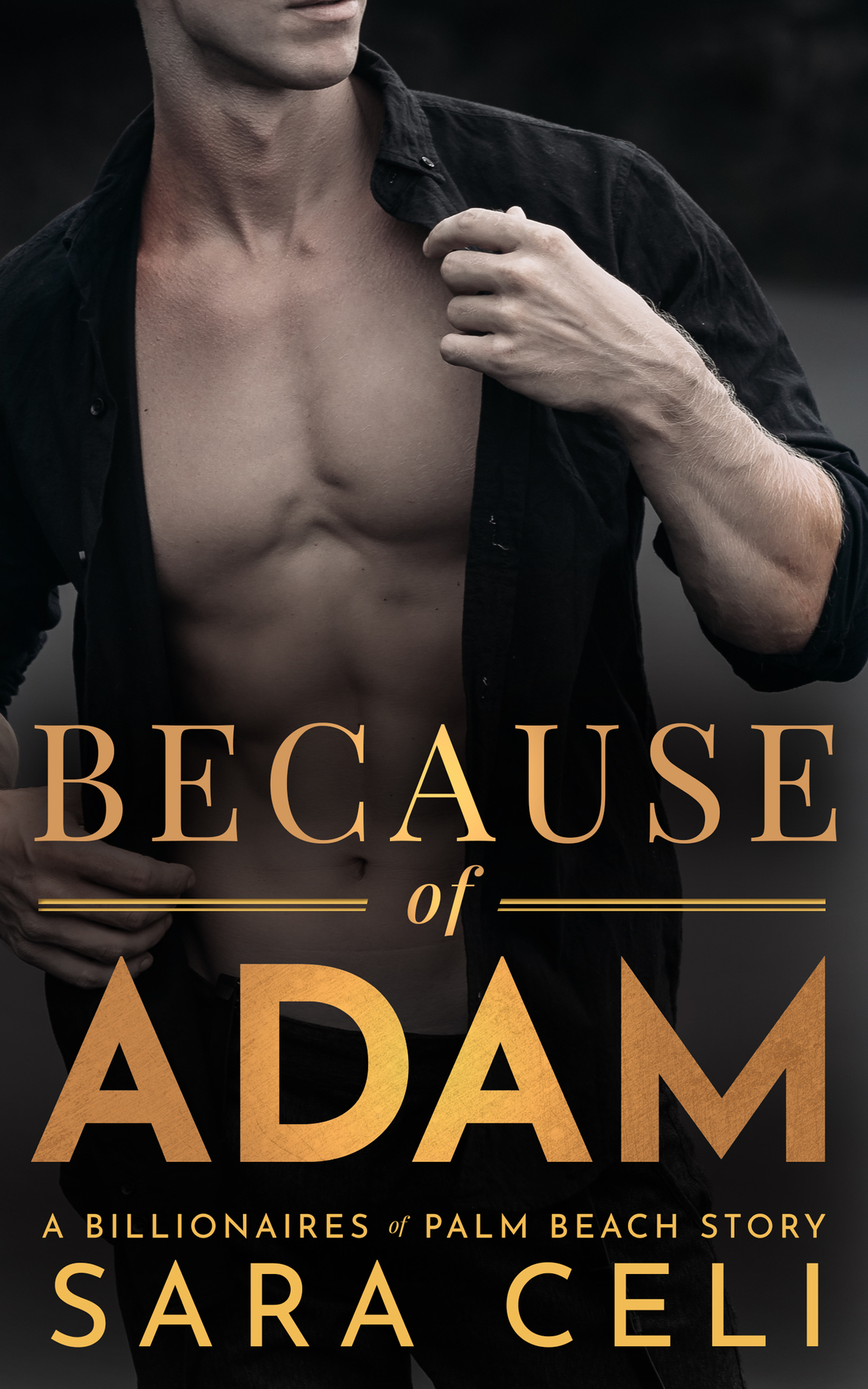 Because Of Adam A Second Chance Romance With A Side Of Suspense Billionaires Of Palm Beach Book 4 Sara Celi S Celi