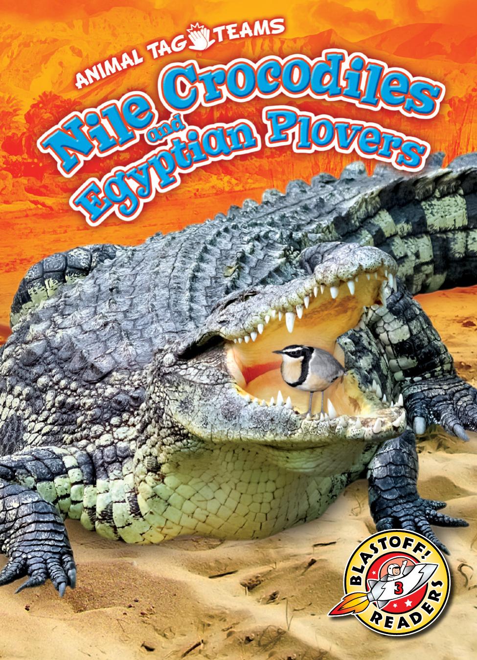 Nile Crocodiles And Egyptian Plovers Kari Schuetz