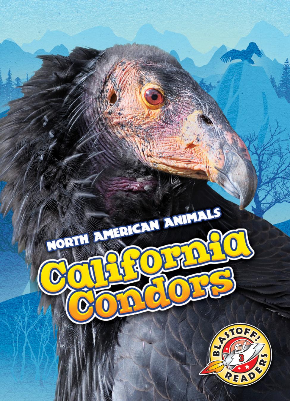 California Condors Rebecca Sabelko