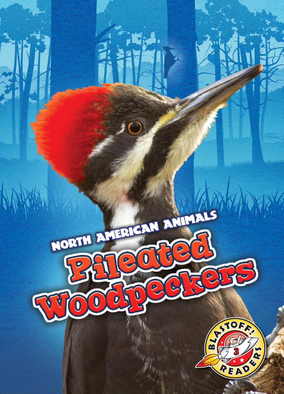 Pileated Woodpeckers Rebecca Sabelko