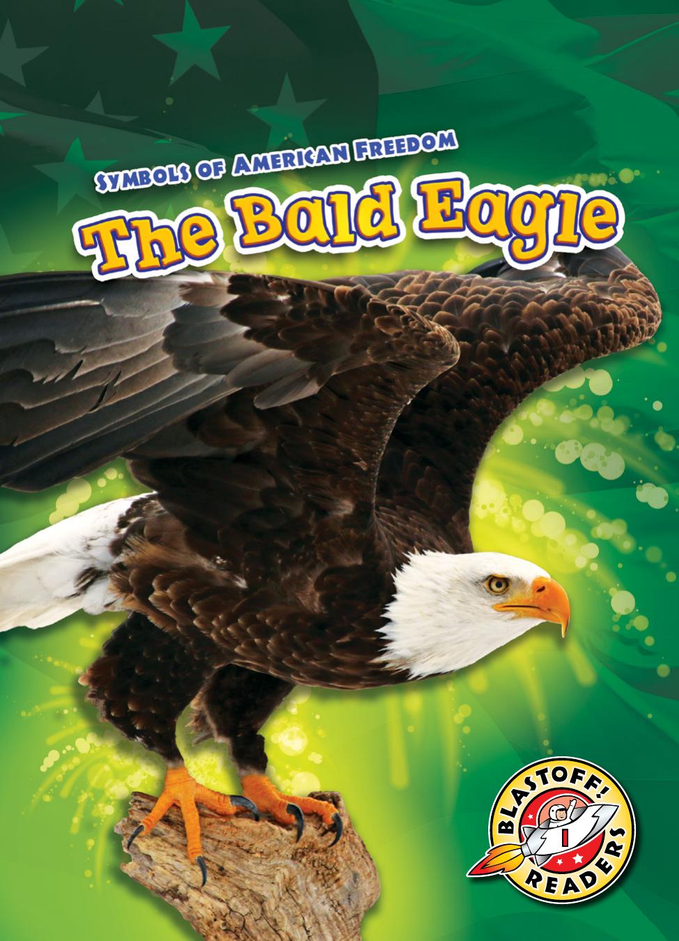 Bald Eagle The Mari Schuh