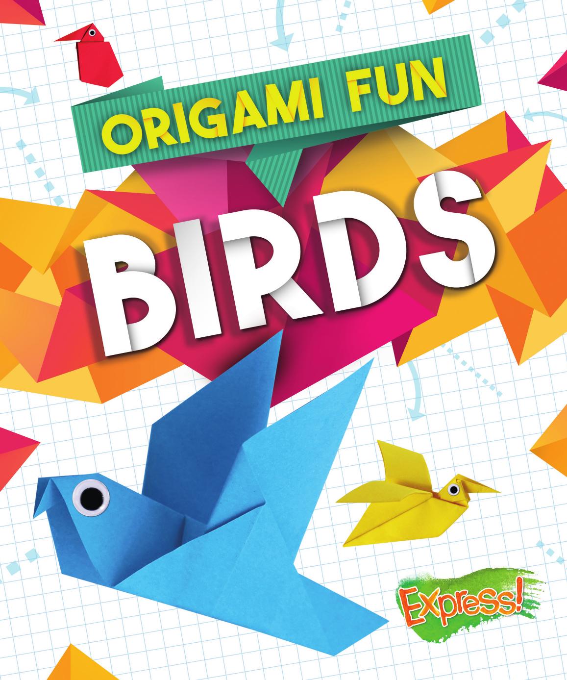 Origami Fun Birds Robyn Hardyman
