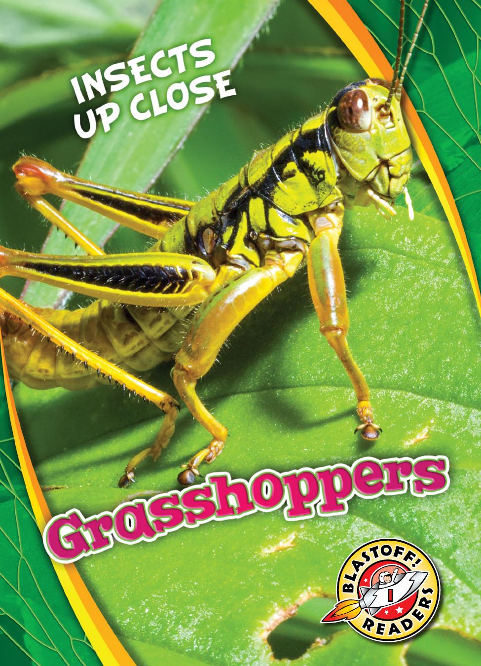 Grasshoppers Patrick Perish