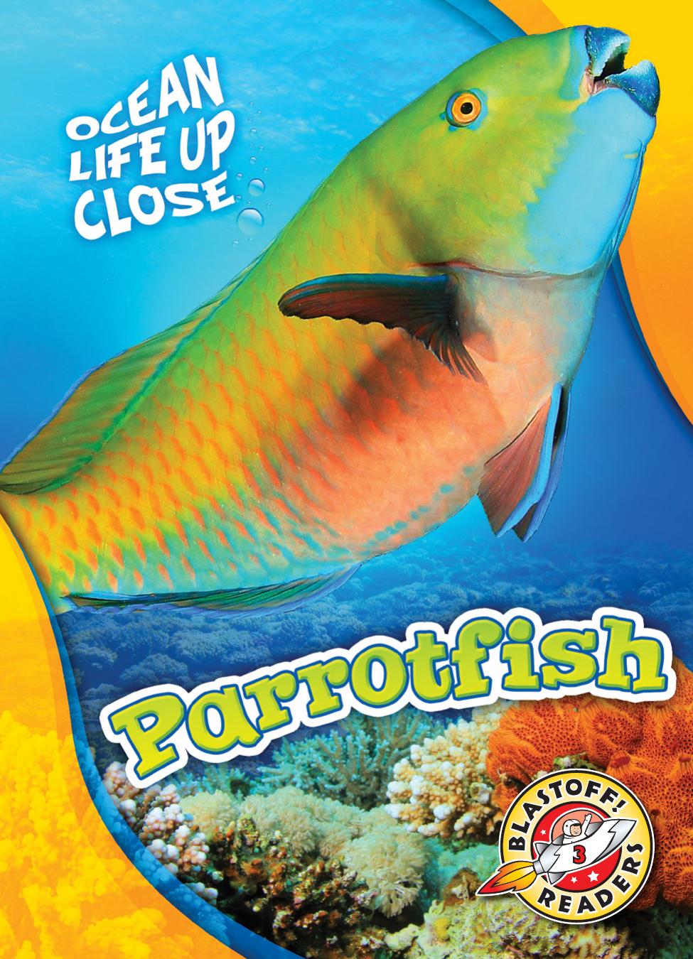 Parrotfish Mari Schuh