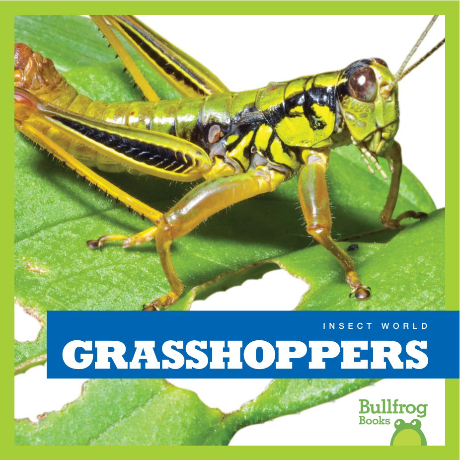 Grasshoppers 1st Ebook Ed Mari Schuh