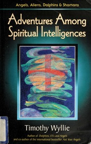 Adventures Among Spiritual Intelligences Timothy Wyllie