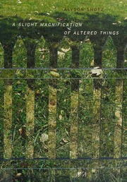 Alyson Shotz A Slight Magnification Of Altered Things Shotz