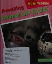 Amazing Animal Life Cycles 1st Ed Wood Alix