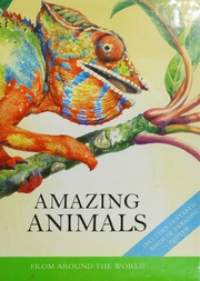 Amazing Animals From Around The World Williams Rachel Scott Peter David