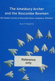 The Amesbury Archer And The Boscombe Bowmen Bell Beaker Burials On Boscombe Down Amesbury Wiltshire Fitzpatrick