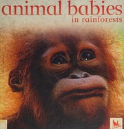Animal Babies In Rainforests Unknown