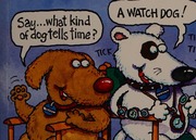 Animal Jokes Singleton Glen 1959 Singleton Glen