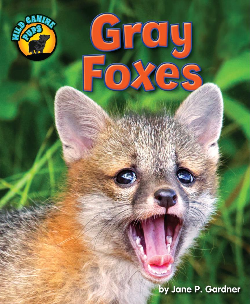 Gray Foxes Jane P Gardner