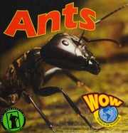 Ants Hudak Heather C 1975