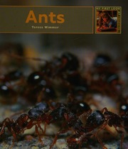 Ants Wimmer Teresa 1975