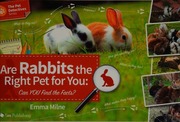 Are Rabbits The Right Pet For You Can You Find Out The Facts Milne